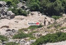Κεφαλονιά: Νεκρός ο 30χρονος οδηγός του οχήματος που έπεσε σε γκρεμό