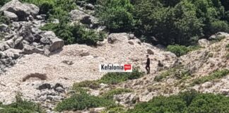 Κεφαλονιά: Νεκρός ο 30χρονος οδηγός του οχήματος που έπεσε σε γκρεμό