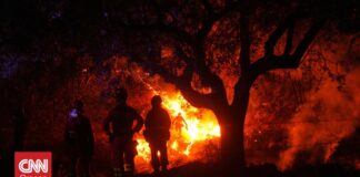 Συνολάκης: «Πρωτόγνωρες πυρκαγιές σε Γαλλία, Ισπανία – Κάποτε θα θεωρούνταν επιστημονική φαντασία»