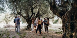 Κεντρικός ο ρόλος της Κρήτης στην ευρωπαϊκή Πολιτιστική Διαδρομή της Ελιάς