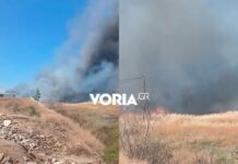 Θεσσαλονίκη: Χωρίς ενεργό μέτωπο η φωτιά στα Υψώματα Διαβατών
