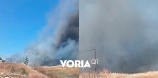 Θεσσαλονίκη: Χωρίς ενεργό μέτωπο η φωτιά στα Υψώματα Διαβατών