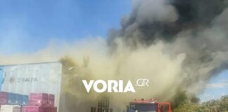 Συνελήφθη ένας 70χρονος για την φωτιά στο Καλοχώρι