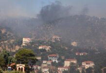 Μάχη με τις φλόγες στο Πλωμάρι της Λέσβου – Δύο τα μέτωπα της πυρκαγιάς