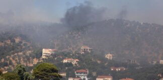 Μάχη με τις φλόγες στο Πλωμάρι της Λέσβου – Δύο τα μέτωπα της πυρκαγιάς