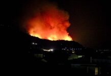 Σάμος: Πυρκαγιά σε δασική έκταση στον Προφήτη Ηλία