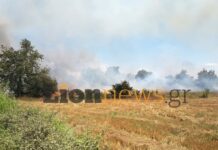 Σέρρες: Οριοθετημένη και χωρίς ενεργό μέτωπο η φωτιά στην Οινούσσα