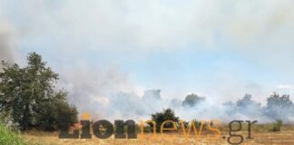 Σέρρες: Οριοθετημένη και χωρίς ενεργό μέτωπο η φωτιά στην Οινούσσα