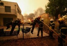 Γαλλία: Ο Μακρόν ζήτησε τη συνδρομή του στρατού για την αντιμετώπιση των πυρκαγιών