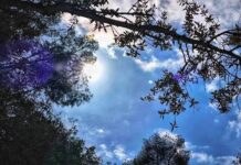 Καλοκαιρία με λίγες νεφώσεις και αμετάβλητη θερμοκρασία έως 36 βαθμούς