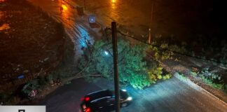 Πλημμυρισμένοι δρόμοι και πτώσεις δέντρων στη Δράμα – 23 κλήσεις στην Πυροσβεστική