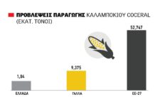 Ξεκίνημα στα 5,5 λεπτά το ενσίρωμα, με προοπτικές η χρονιά φέτος στο καλαμπόκι