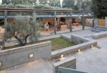Το Ελληνικό Ελαιόλαδο ως Μοχλός Ανάπτυξης: Ποιότητα και Προστιθέμενη Αξία