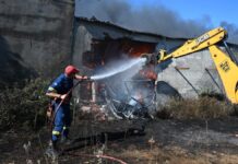 Φωτιά στο Ωραιόκαστρο: 5 εκατ. ευρώ για αποκατάσταση των υποδομών που κάηκαν