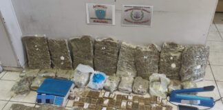 Κατασχέθηκαν πάνω από 26 κιλά κάνναβης σε επιχείρηση στην Αττική
