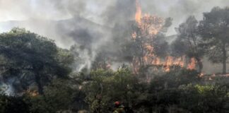 Πολιτική Προστασία: Σε ποιες περιοχές υπάρχει πολύ υψηλός κίνδυνος πυρκαγιάς σήμερα