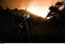 Φωτιά σε αγροτοδασική έκταση στο Λιβάδι