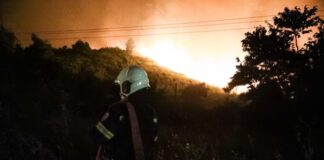 Φωτιά σε αγροτοδασική έκταση στο Λιβάδι