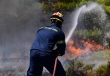 Φωτιά στα Οινόφυτα