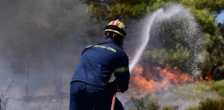 Φωτιά στα Οινόφυτα