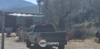 Ρέθυμνο: Βίντεο-ντοκουμέντο από την επίθεση στον κτηνοτρόφο