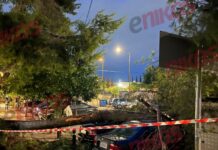 Κακοκαιρία: Δέντρο έπεσε σε σταθμευμένα αυτοκίνητα στα Σεπόλια