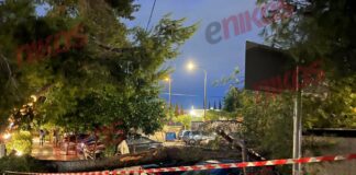 Κακοκαιρία: Δέντρο έπεσε σε σταθμευμένα αυτοκίνητα στα Σεπόλια