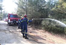 Απαγόρευση κυκλοφορίας για πεζούς και οχήματα σε περιαστικές δασικές εκτάσεις της Θεσσαλονίκης