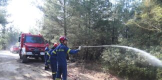 Απαγόρευση κυκλοφορίας για πεζούς και οχήματα σε περιαστικές δασικές εκτάσεις της Θεσσαλονίκης