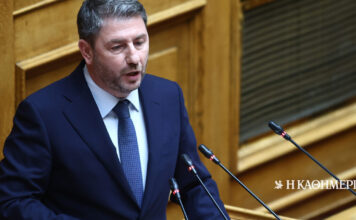 Ανδρουλάκης για τον θάνατο της Βάγιας Νέστορα: Οι δολοφόνοι πρέπει να τιμωρηθούν