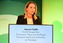 Υψηλότερα «πράσινα πριμ» από ποτέ υπόσχεται να φέρει η νέα ΚΑΠ 2028-2034