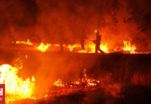 Ισπανία: Νέα πυρκαγιά στη Μαδρίτη εν μέσω καύσωνα και ισχυρών ανέμων – Εκκενώθηκαν κατοικίες
