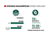 Λιγότερο κατά 30% φέτος το ρύζι, δεν αλλάζει το «βαρύ» κλίμα ούτε η επάρκεια νερού