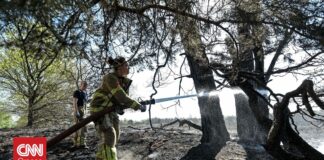 Δασική πυρκαγιά νοτιοανατολικά της Ολλανδίας – Καταστράφηκαν τουλάχιστον 210 στρέμματα