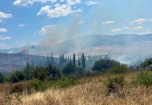 Χωρίς ενεργό μέτωπο η φωτιά στη θέση «Κυρά»