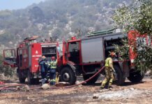 Φωτιά σε χαμηλή βλάστηση στο Μαρκόπουλο Αττικής