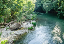 Σε ικανοποιητικό επίπεδο φέτος ο Πηνειός και τα άλλα ποτάμια