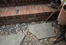 Μόνο όσοι έχουν τέλεια όραση μπορούν να εντοπίσουν το φίδι μέσα σε 14 δευτερόλεπτα