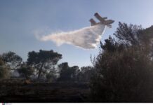 Πολύ υψηλός κίνδυνος πυρκαγιάς σήμερα: «Πορτοκαλί» συναγερμός σε Αττική, Εύβοια, Αιγαίο και Κρήτη