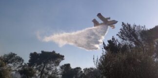 Πολύ υψηλός κίνδυνος πυρκαγιάς σήμερα: «Πορτοκαλί» συναγερμός σε Αττική, Εύβοια, Αιγαίο και Κρήτη