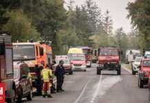 Βέλγιο: Η δασική πυρκαγιά κατέκαυσε έκταση 30.000 στρεμμάτων – Κατευθύνεται προς Γερμανία