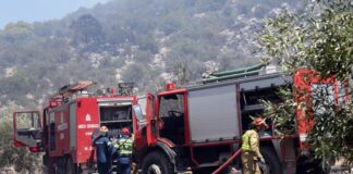 Δύο πυροσβέστες στο νοσοκομείο από τη φωτιά στη Βοιωτία