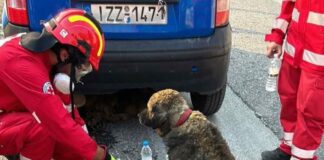 Ελληνικός Ερυθρός Σταυρός: Στην πρώτη γραμμή των πυρκαγιών οι εθελοντές – Έκκληση για βοήθεια στους πυρόπληκτους