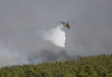 Φωτιά στην Αττικοβοιωτία: Αδύνατη η πτήση αεροσκαφών λόγω θυελλωδών ανέμων