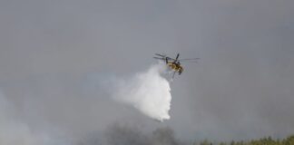 Φωτιά στην Αττικοβοιωτία: Αδύνατη η πτήση αεροσκαφών λόγω θυελλωδών ανέμων