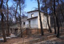 Γραφείο υποστήριξης πυρόπληκτων στον Δήμο Μάνδρας-Ειδυλλίας