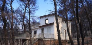 Γραφείο υποστήριξης πυρόπληκτων στον Δήμο Μάνδρας-Ειδυλλίας