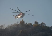 Φωτιά στη Σαλαμίνα: Χωρίς ενεργό μέτωπο στα Σελήνια