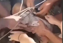 Σεισμός Κολομβία: Διάσωση βρέφους από τα συντρίμμια – Δείτε βίντεο