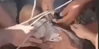 Σεισμός Κολομβία: Διάσωση βρέφους από τα συντρίμμια – Δείτε βίντεο